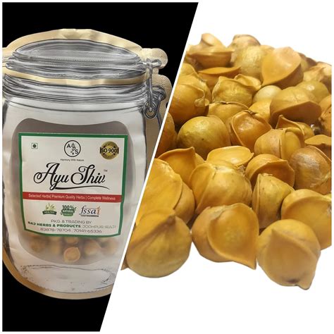 Ayushiv KASHMIRI LEHSUN (ALLIUM SATIVUM) - SNOW MOUNTAIN GARLIC ...