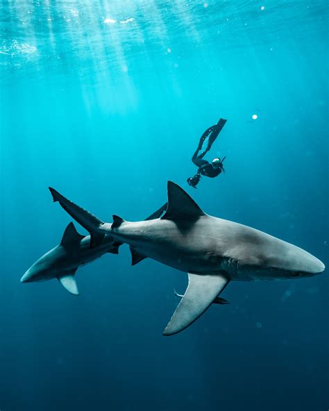 Madi 🖤 (@madi_ruve) • Instagram photos and videos