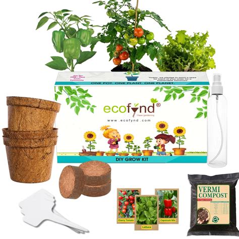 3 in 1 Salad Gardening Kit – Ecofynd