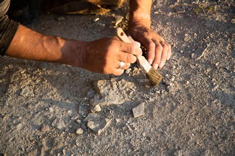 2,500-Year-Old Assyrian Document Found in Jerusalem