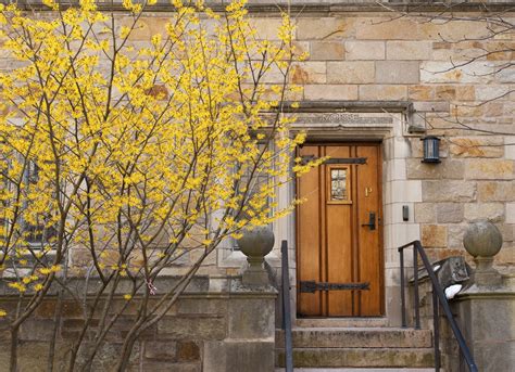 Faculty & Staff | Yale Graduate School of Arts and Sciences