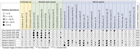 Relative Sea Level Changes in the Bay of Maladroxia, Southwestern ...
