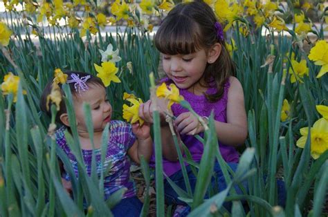 Image result for Spring Time Video for Kids