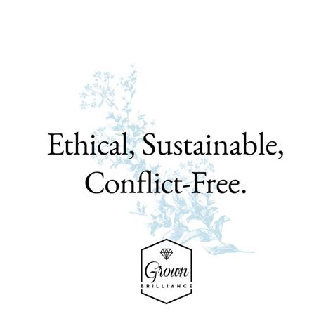 Grown Brilliance Review: What You Need to Know Before You Buy