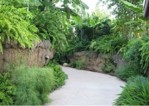 ZooLex Image - Path