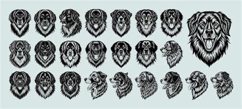 HelloWorld JavaScript Dog Name 的图像结果