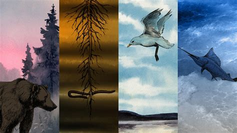 Image result for Intro Evolution