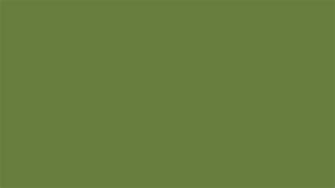 Military Green (similar) Color | 667d3e information | Hsl | Rgb | Pantone