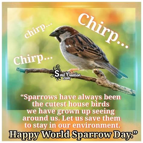 SAVE SPARROWS SAVE NATURE WORLD SPARROW DAY 20TH MARCH - SmitCreation.com