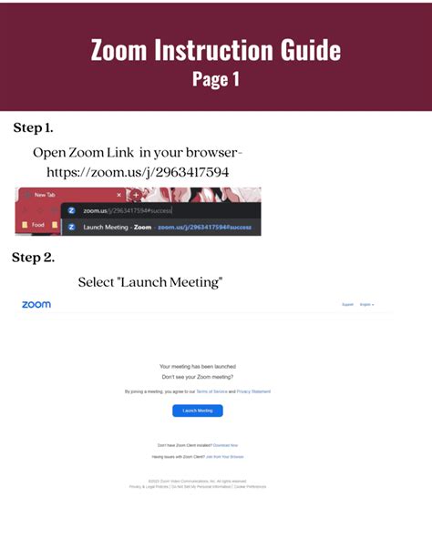 Zoom Tutorial 的图像结果