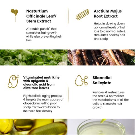 The Earth Collective Hair Density Tonic | Hairfall Cure