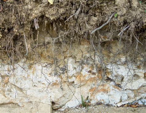 Boden des Jahres 2024: Warum Landwirte über den Sieger schimpfen ...
