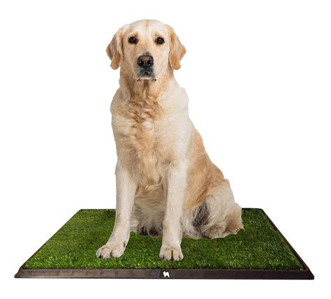 Puppypro Puppy Potty Grass Toilet Trainer Tray for Dogs and Puppies ...
