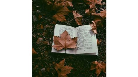 Autumn Reads: Translated Japanese Lit