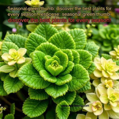 Seasonal green thumb: discover the best plants for every season! response: seasonal green thumb ...