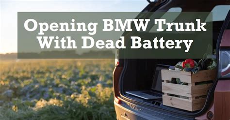 Image result for BMW Trunk Problems