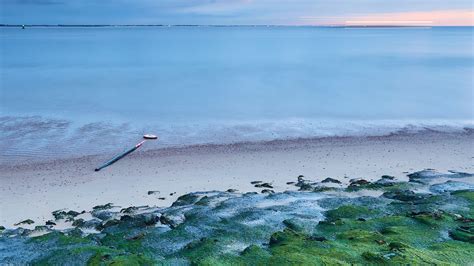 Download wallpaper 1600x900 moss, coast, sea, horizon widescreen 16:9 ...