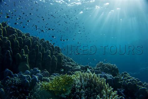 Mediterranean Sea 的图像结果