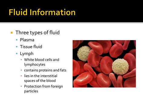 Image result for Lymph trunk Lymphatic System