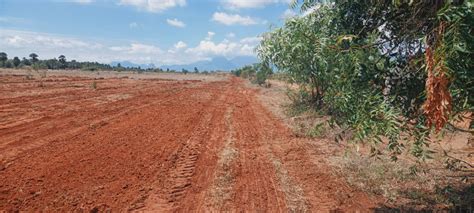 180 Acre Agricultural/Farm Land for Sale in Karungulam, Tirunelveli ...
