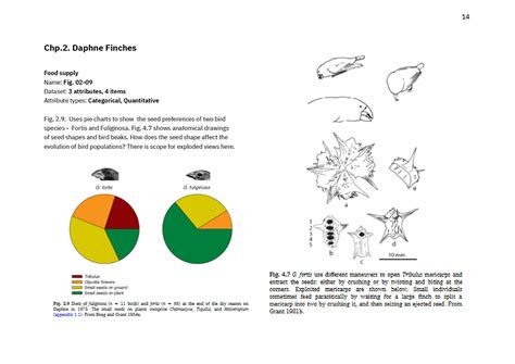 D'source Case Study - Slide Show | Visualizing Biological Evolution | D ...