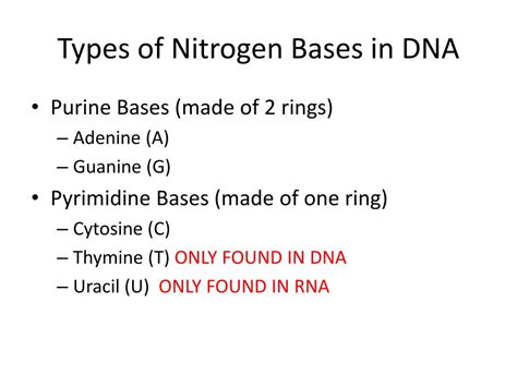 Image result for DNA Introduction