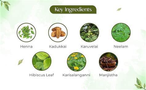 VCare Natural Herbal Hair Dye Powder for Men and Women|Apply for Dry ...