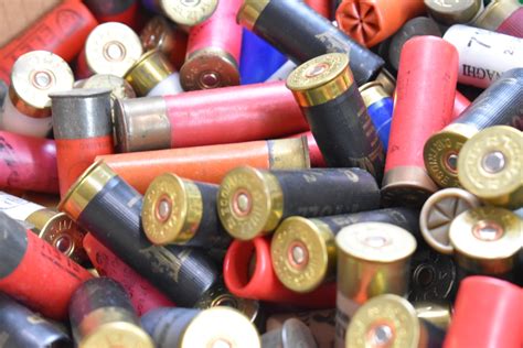 Over five-hundred 12 bore shotgun cartridges including Rugby Renown ...