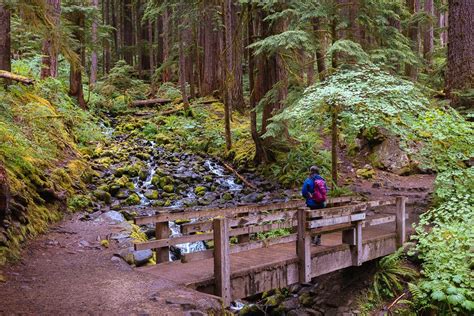 Image result for Python Beginners Worksheet