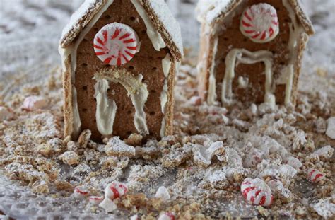 Easy DIY Gingerbread House with Graham Cracker