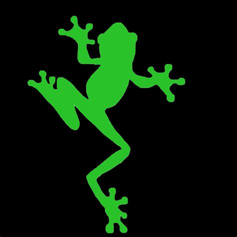 BIJAGUA DREAMS (2026) All You Need to Know BEFORE You Go (with Photos ...