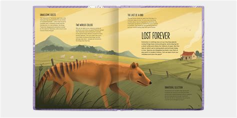 Image result for Java Lost