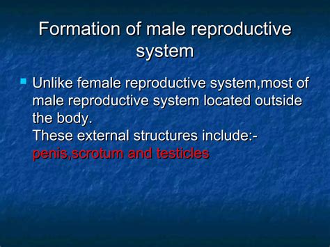 Reproductive System for Men 的图像结果