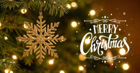 Heartfelt Merry Christmas Wishes 2024: Top Messages & Beautiful Images ...