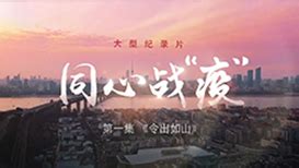 六集大型纪录片《同心战“疫”》_新闻频道_央视网(cctv.com)