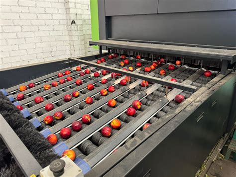 Image result for Greefa Combisort Packing Line Tech Drawing