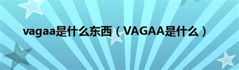 vagaa是什么东西（VAGAA是什么）_文财网
