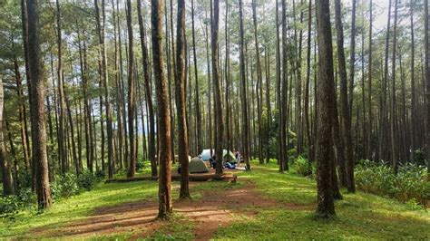 Wisata Batu Kuda