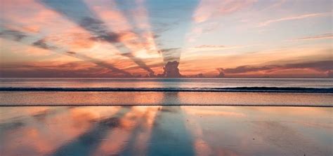 Music Background 的图像结果