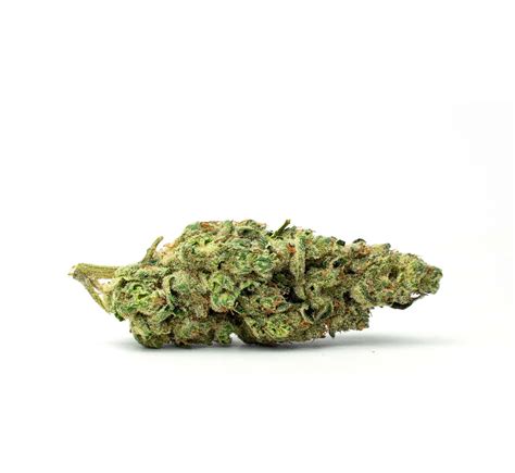 Glass House Farms Garlic Starship at Patricia Henderson blog