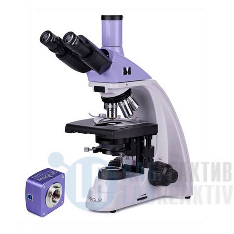 Микроскоп биологический цифровой MAGUS BIO D250TL по цене производителя ...