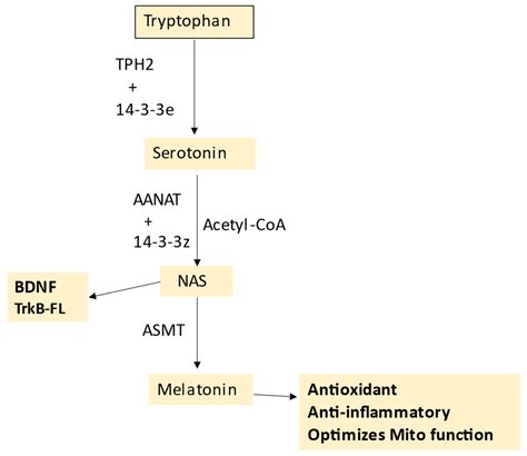 Type I Diabetes Pathoetiology and Pathophysiology: Roles of the Gut ...