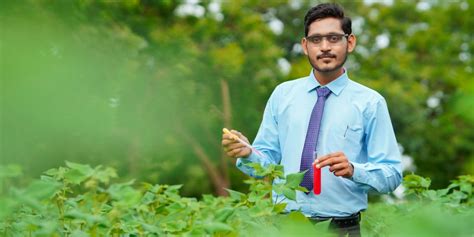 B.Sc. Hons Agriculture College in Punjab, North India (India) | Baba ...