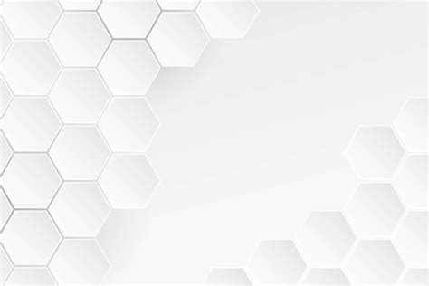 [200+] White Hd Backgrounds | Wallpapers.com