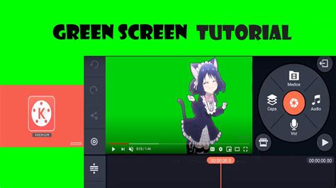 Image result for Kinect Greenscreen