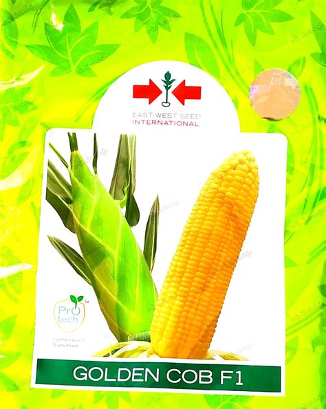 Sweet Corn Seeds Sugar-75 Variety for Farm, 1 kg : Amazon.in: Garden ...
