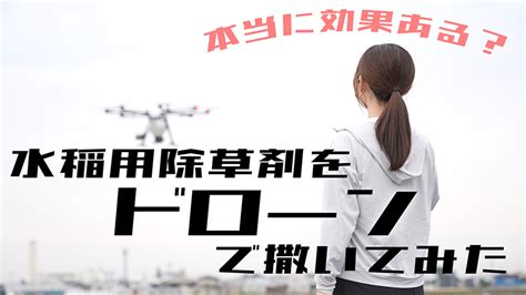 Moviepy Python Path of File 的图像结果