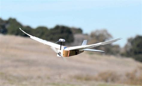 Robot Bird Design 的图像结果