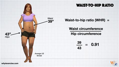 Waist-to-hip ratio: Reliable research shows if you need to lose weight