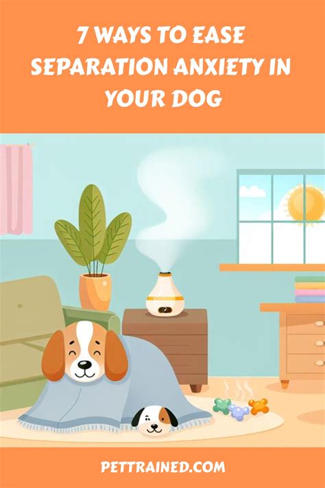 Image result for Dog Separation Anxiety Problem